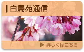白鳥苑通信