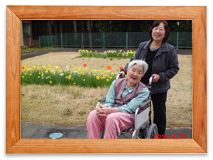 庭にすいせんが、たくさん咲きました。