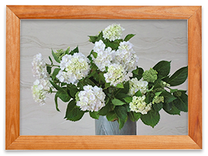 2015年6月19日 「梅雨に入りました」